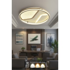 Avizemoda Rubi Daire 3 Renk Ledli (SARI-BEYAZ-GÜN IŞIĞI) Kumandalı Modern Akrilik Plafonyer Armatür